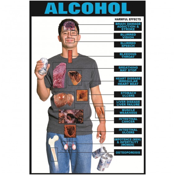 The Effects Of Alcohol And Drugs On